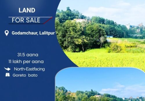 31.5 aana land for sale in Godam Chaur, Lalitpur