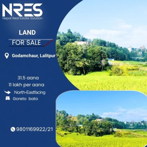 Land for sale in godamchaur