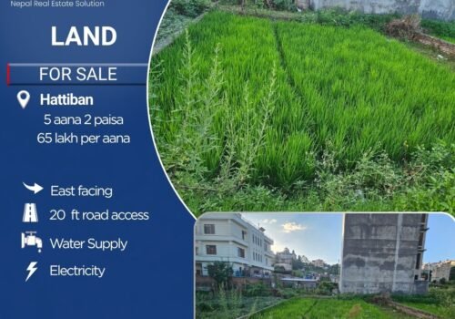 5 aana 2 paisa land for sale in Hattiban, Lalitpur