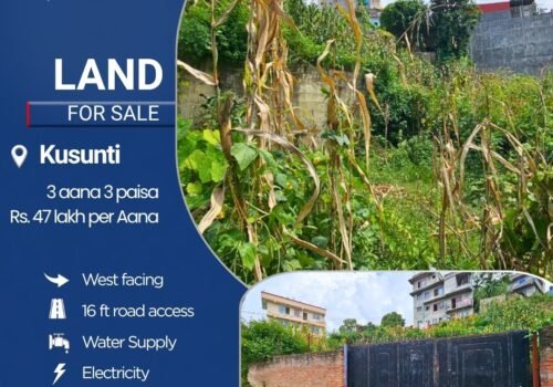 3 aana 3 paisa land for sale in Kusunti, Lalitpur