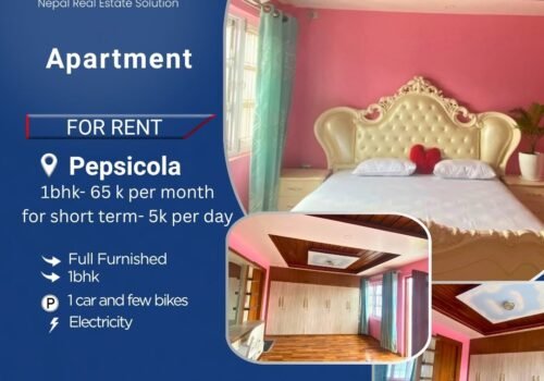 1bhk apartment for rent in Pepsicola