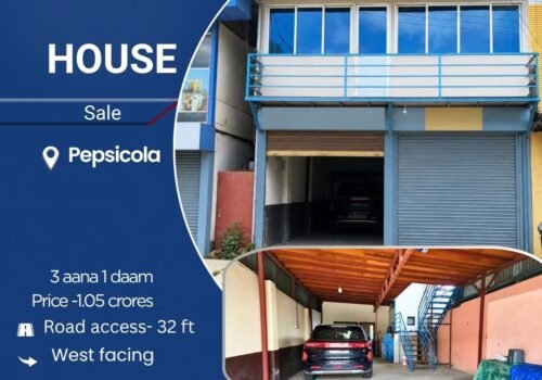 3 aana 1 daam land for sale in Pepsicola, Kathmandu