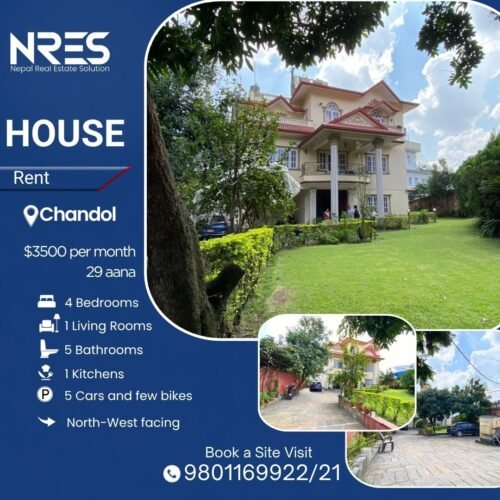 House for rent