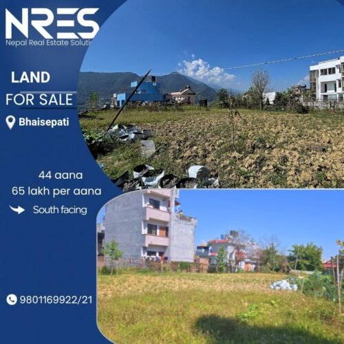 Land for sale in Bhaisepati