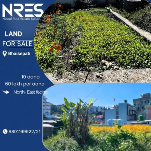 Land for sale in bhaisepati