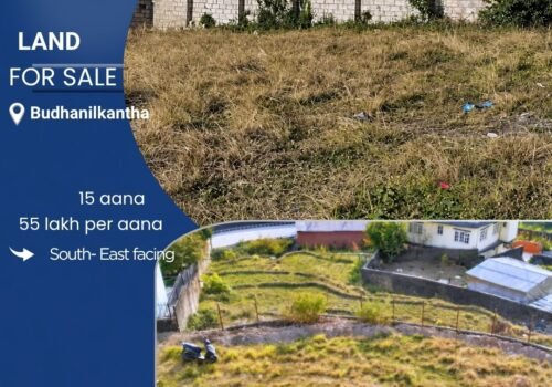 15 aana land for sale in Budhanilkantha, Kathmandu
