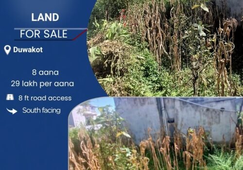 8 aana land for sale in Duwakot, Changunarayan